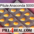 Anaconda 5000 Pill cialis2